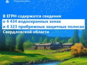 В реестре недвижимости содержатся сведения о 4 434 водоохранных зонах и 4 323 прибрежных защитных полосах Свердловской области