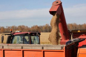 Аграрии Свердловской области убрали с полей свыше 75% зерновых культур