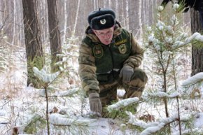 Уральские охотники заготовили тысячи солёных кормовых веников, чтобы косули в лесах были сыты